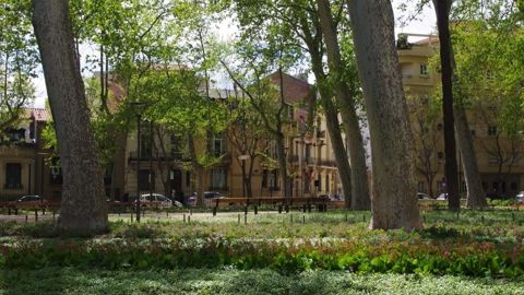 Le contexte environnemental, économique et réglementaire impose une réflexion sur la conception et la gestion des couverts enherbés, comme ici, dans le square Bir Hakeim de Perpignan, dans lequel certaines pelouses ont été remplacées par des couvres-sols vivaces. © Yaël Haddad